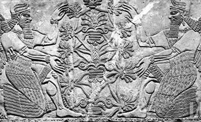 Tree of Life - Babylonians
